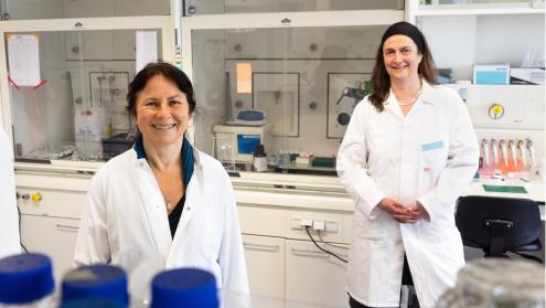 Cover image of ERC Synergy Grant