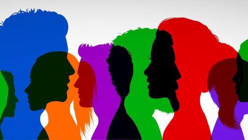 Gender and Diversity working group